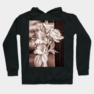 Infrared Bouquet Hoodie